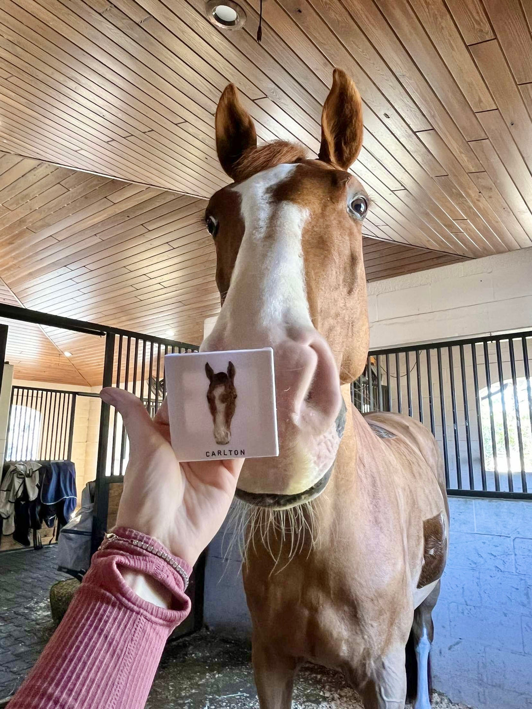 Custom Horse Mini Canvas