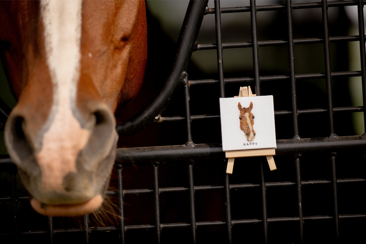 Custom Horse Mini Canvas