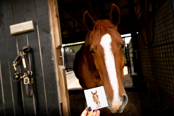 Custom Horse Mini Canvas