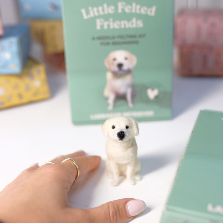 Labrador Needle Felting Kit for Beginners